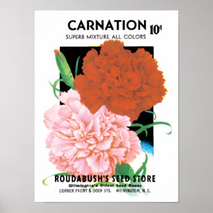 Vintages Saatgut - Etikett Kunst, Nelken Blume Poster