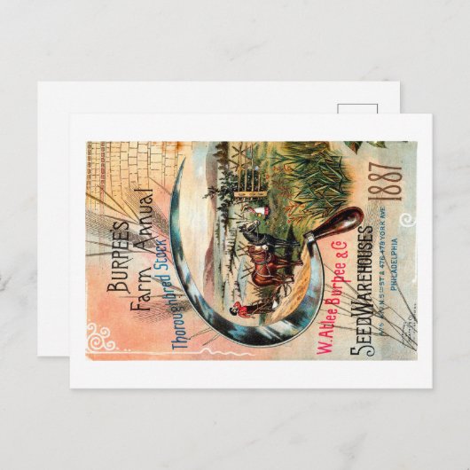 Vintages Saatgut Postkarte (Vorne/Hinten)