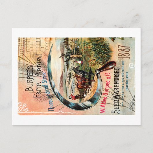 Vintages Saatgut Postkarte (Vorderseite)