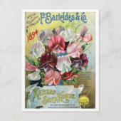 Vintages Saatgut Postkarte (Vorderseite)