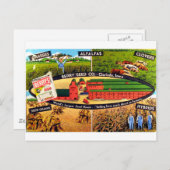 Vintages Saatgut Postkarte (Vorne/Hinten)