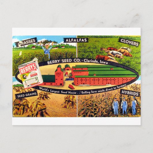 Vintages Saatgut Postkarte (Vorderseite)
