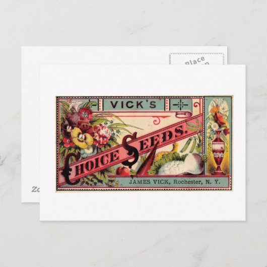 Vintages Saatgut Postkarte (Vorne/Hinten)