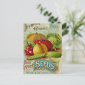 Vintages Saatgut Postkarte (Stehend Vorderseite)