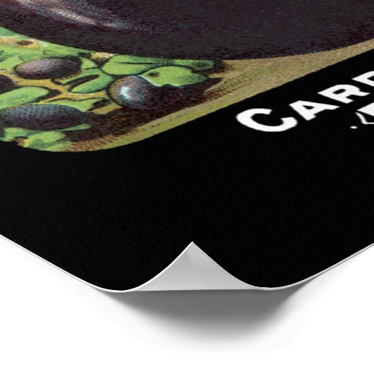 Vintages Saatgut von Eggplant Poster (Ecke)