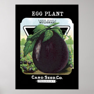 Vintages Saatgut von Eggplant Poster