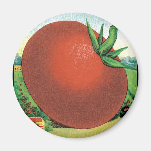 Vintages Saatgutpackungs-Label Art, Burt's Seed To Magnet (Vorne)