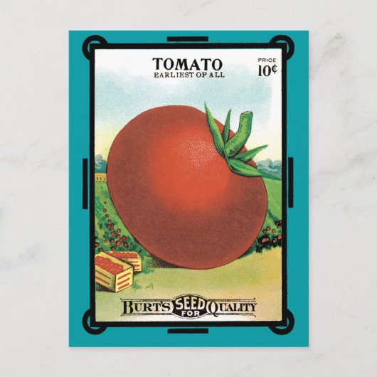 Vintages Saatgutpackungs-Label Art, Burt's Seed To Postkarte (Vorderseite)