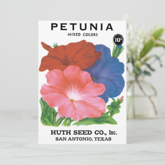 Vintages Saatgutpackungs-Label Art, Petunia-Blume (Stehend Vorderseite)