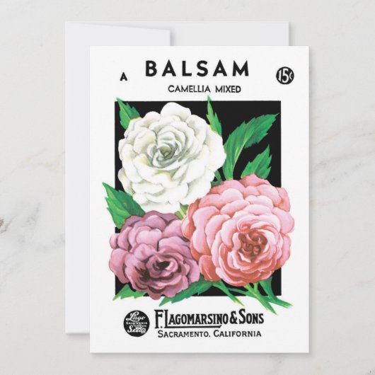 Vintages Saatgutpackungs-Label Kunst, Kamelien, Bl (Vorderseite)