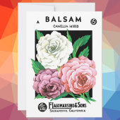 Vintages Saatgutpackungs-Label Kunst, Kamelien, Bl