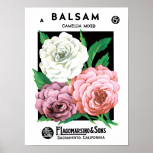 Vintages Saatgutpackungs-Label Kunst, Kamelien, Bl Poster