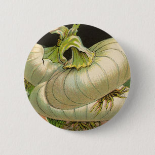 Vintages Saatgutpackungslabel "Best Western Union  Button