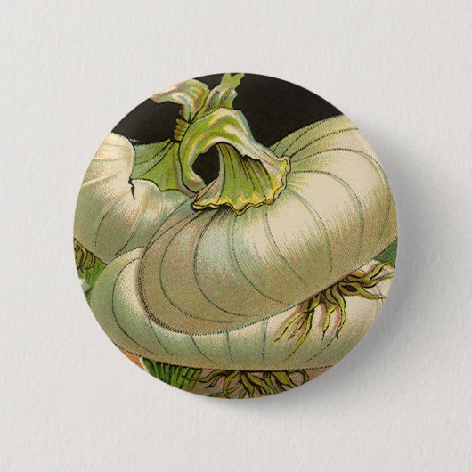 Vintages Saatgutpackungslabel "Best Western Union Button (Vorderseite)