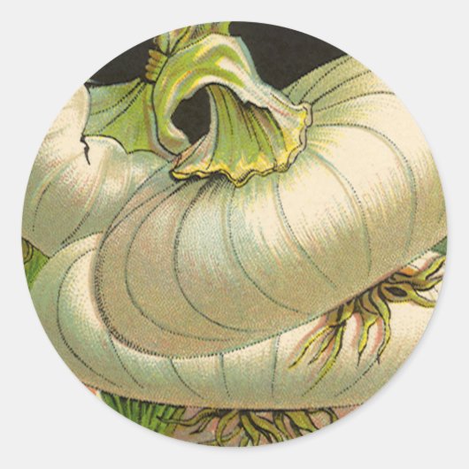 Vintages Saatgutpackungslabel "Best Western Union  Runder Aufkleber (Vorderseite)