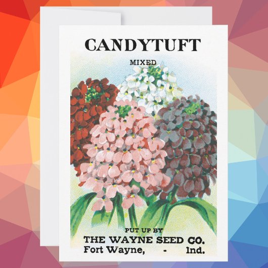 Vintages Saatgutpaket Kunst, Candytuft Garden Blum