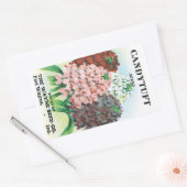 Vintages Saatgutpaket Kunst, Candytuft Garden Blum Rechteckiger Aufkleber (Umschlag)