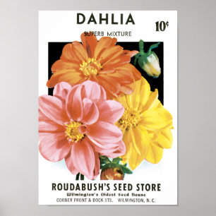 Vintages Saatgutpaket Kunst, Dahlia Garden Blume Poster