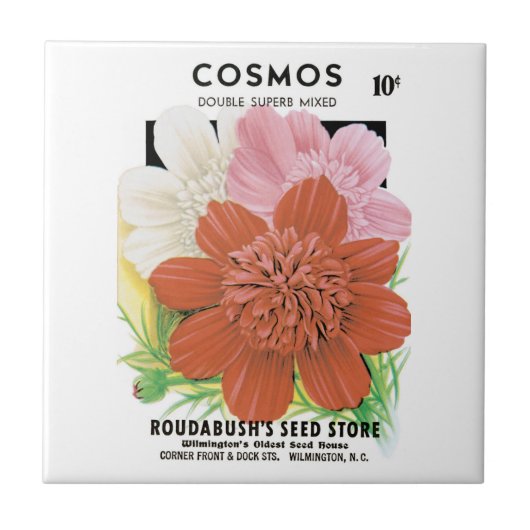 Vintages Saatgutpaket Kunst, Kosmos Garten Blume Fliese (Vorderseite)