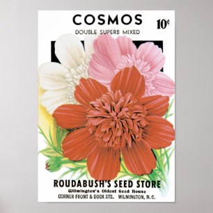 Vintages Saatgutpaket Kunst, Kosmos Garten Blume Poster