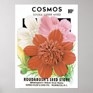 Vintages Saatgutpaket Kunst, Kosmos Garten Blume Poster