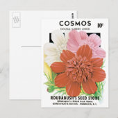 Vintages Saatgutpaket Kunst, Kosmos Garten Blume Postkarte (Vorne/Hinten)