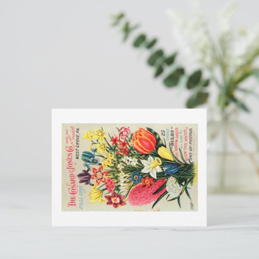 Vintages Saatgutpaket Postkarte (Stehend Vorderseite)