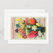 Vintages Saatgutpaket Postkarte (Vorne/Hinten)