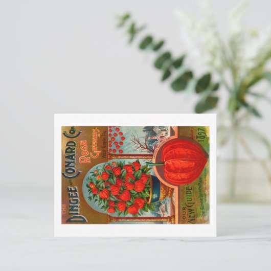 Vintages Saatgutpaket Postkarte. Postkarte (Stehend Vorderseite)