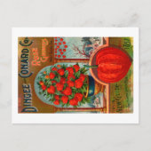 Vintages Saatgutpaket Postkarte. Postkarte (Vorderseite)