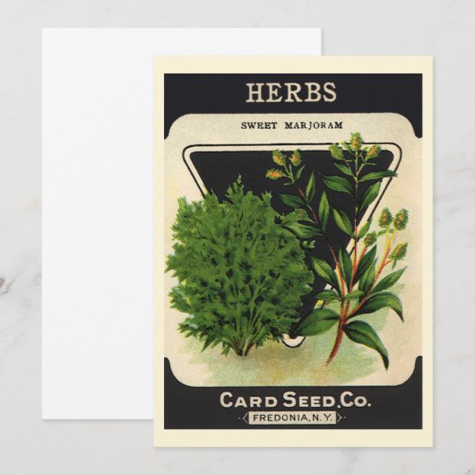 Vintages Saatgutverpackungs-Label (Vorne/Hinten)