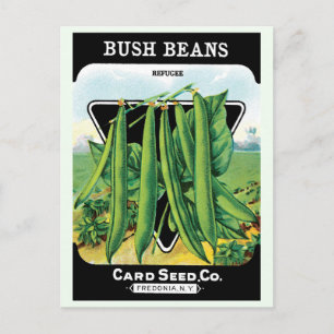 Vintages Saatgutverpackungs-Label Art, Bush Bean V Postkarte