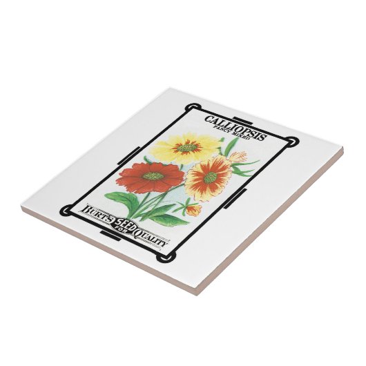 Vintages Saatgutverpackungslabel Art, Calliopsis B Fliese (Seite)