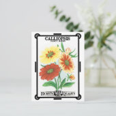Vintages Saatgutverpackungslabel Art, Calliopsis B Postkarte (Stehend Vorderseite)