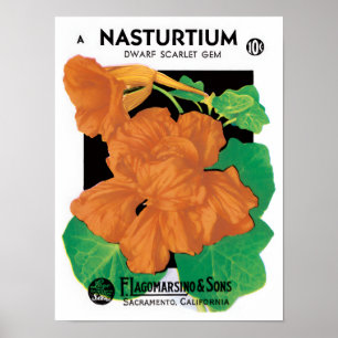 Vintages Saatgutverpackungslabel Art, Nasturtium-B Poster