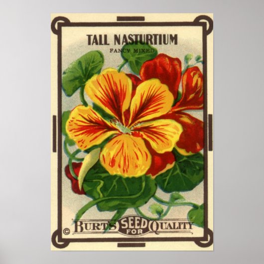 Vintages Saatgutverpackungslabel Art, Nasturtium-B Poster (Vorne)