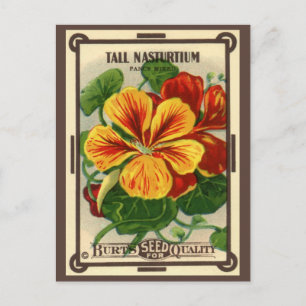 Vintages Saatgutverpackungslabel Art, Nasturtium-B Postkarte