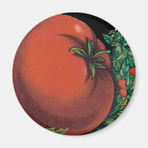Vintages Saatgutverpackungslabel Art, Tomato Pomod Magnet