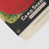 Vintages Saatgutverpackungtomato und Anleitungen Seidenpapier (Detail)