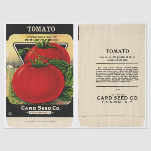 Vintages Saatgutverpackungtomato und Anleitungen Seidenpapier (Vorderseite)