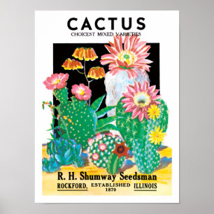 Vintages Saatpacket Label Art Wüste Kaktus Pflanze Poster