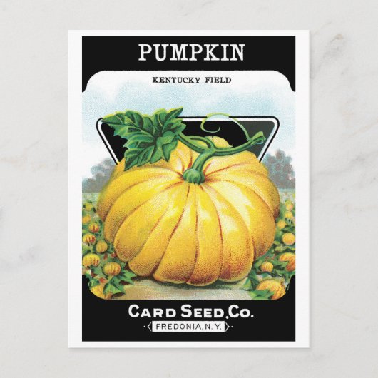 Vintages Saatpacketikett Art, Halloween Pumpkin Postkarte (Vorderseite)