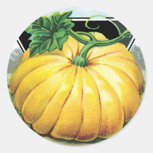 Vintages Saatpacketikett Art, Halloween Pumpkin Runder Aufkleber