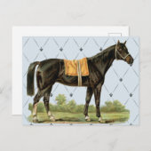 Vintages Sattelpferd Postkarte (Vorne/Hinten)