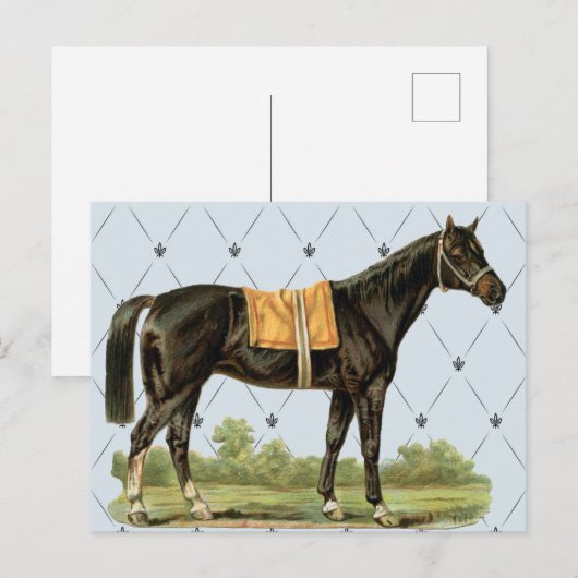 Vintages Sattelpferd Postkarte (Vorne/Hinten)