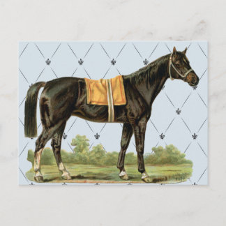 Vintages Sattelpferd Postkarte