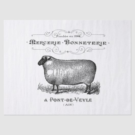 Vintages Schaf-Anzeigen-Gewebe Seidenpapier (Vorderseite)