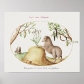 Vintages Schafposter Poster (Vorne)