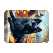 Vintages Schipperke Welpenbild Magnet (Horizontal)