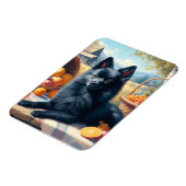Vintages Schipperke Welpenbild Magnet (Linke Seite)